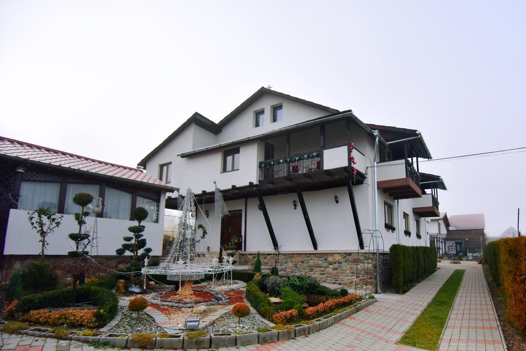 Pensiunea Casa Elena Agnita Exterior foto